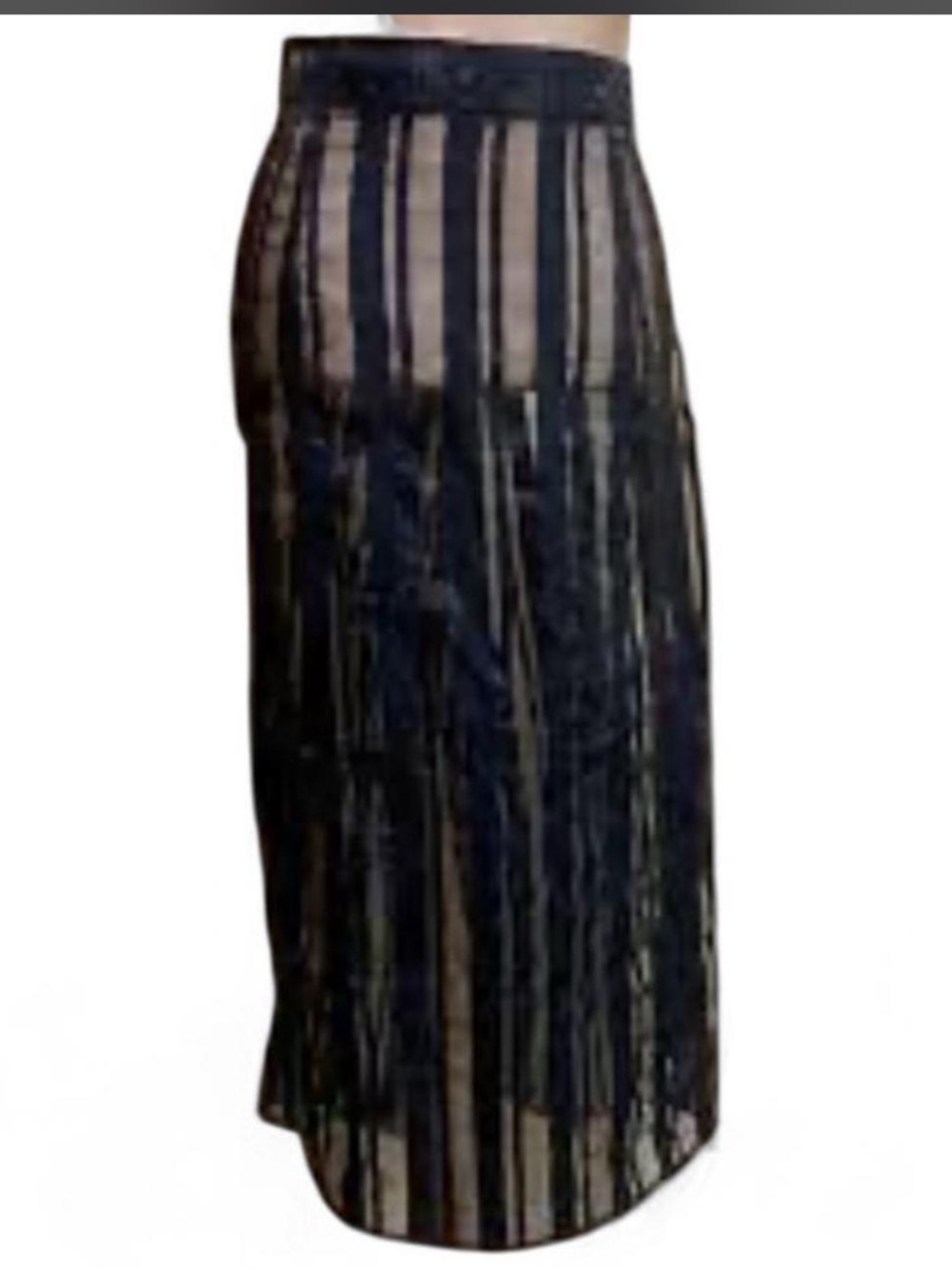 Zara Organza Black Striped Sheer Skirt